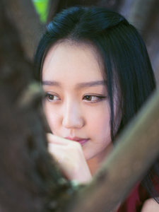 丁香花电影完整版哪里看,丁香花高清版在线播放,经典剧情重温